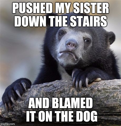 Confession Bear | PUSHED MY SISTER DOWN THE STAIRS; AND BLAMED IT ON THE DOG | image tagged in memes,confession bear | made w/ Imgflip meme maker