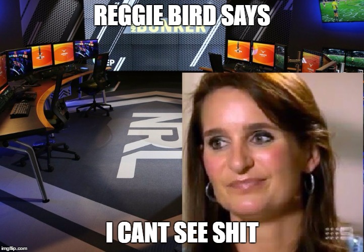 REGGIE BIRD SAYS; I CANT SEE SHIT | image tagged in reggie | made w/ Imgflip meme maker