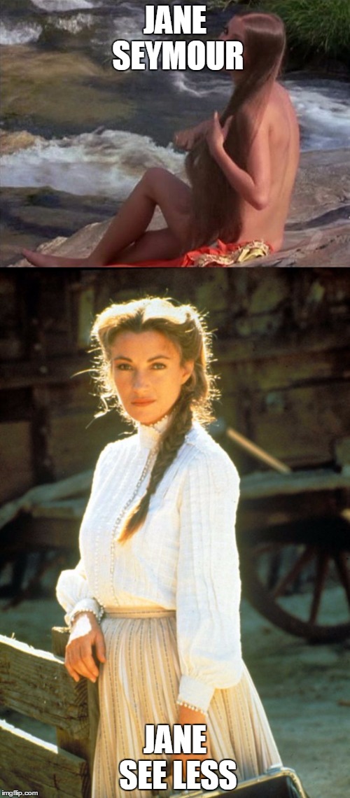 More or less visible | JANE SEYMOUR; JANE SEE LESS | image tagged in moviememe,janeseymour,funny,denirodefaro | made w/ Imgflip meme maker
