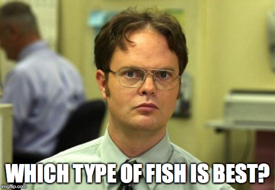 Dwight Schrute Meme | WHICH TYPE OF FISH IS BEST? | image tagged in memes,dwight schrute | made w/ Imgflip meme maker