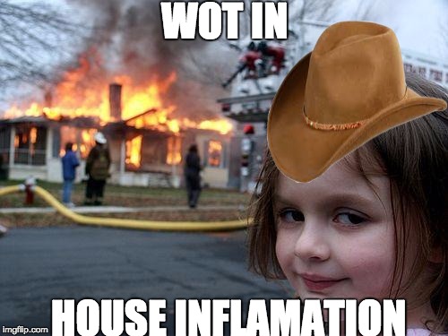 Disaster Girl | WOT IN; HOUSE INFLAMATION | image tagged in memes,disaster girl | made w/ Imgflip meme maker