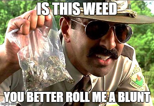 weedy cop | IS THIS WEED; YOU BETTER ROLL ME A BLUNT | image tagged in weedy cop | made w/ Imgflip meme maker
