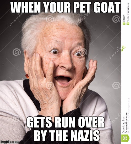 WHEN YOUR PET GOAT; GETS RUN OVER BY THE NAZIS | image tagged in edna | made w/ Imgflip meme maker