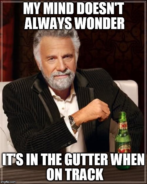 The Most Interesting Man In The World | MY MIND DOESN'T ALWAYS WONDER; IT'S IN THE GUTTER
WHEN ON TRACK | image tagged in memes,the most interesting man in the world | made w/ Imgflip meme maker