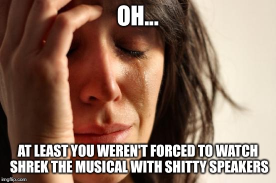 First World Problems Meme | OH... AT LEAST YOU WEREN'T FORCED TO WATCH SHREK THE MUSICAL WITH SHITTY SPEAKERS | image tagged in memes,first world problems | made w/ Imgflip meme maker