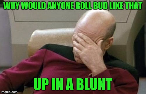 Captain Picard Facepalm Meme | WHY WOULD ANYONE ROLL BUD LIKE THAT UP IN A BLUNT | image tagged in memes,captain picard facepalm | made w/ Imgflip meme maker
