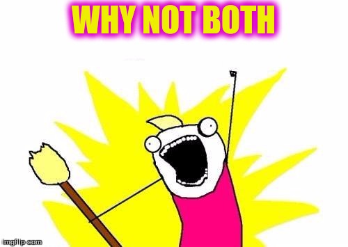 X All The Y Meme | WHY NOT BOTH | image tagged in memes,x all the y | made w/ Imgflip meme maker