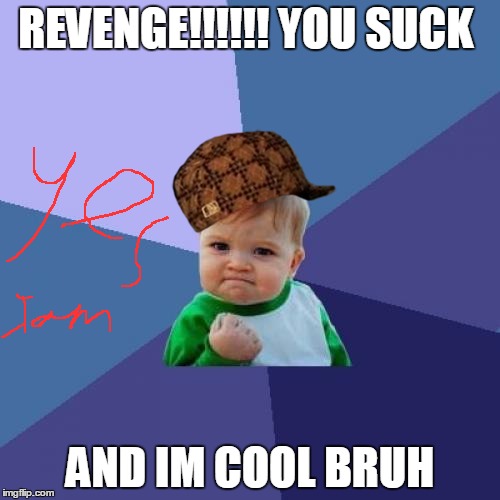 Success Kid | REVENGE!!!!!! YOU SUCK; AND IM COOL BRUH | image tagged in memes,success kid,scumbag | made w/ Imgflip meme maker