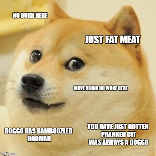 Doge Meme | NO BORK HERE; JUST FAT MEAT; MOVE ALONG NO WOOF HERE; YOU HAVE JUST GOTTEN PRANKED CIT WAS ALWAYS A DOGGO; DOGGO HAS BAMBOOZLED HOOMAN | image tagged in memes,doge | made w/ Imgflip meme maker