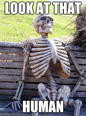 Waiting Skeleton | LOOK AT THAT; HUMAN | image tagged in memes,waiting skeleton | made w/ Imgflip meme maker