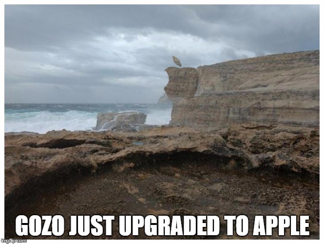 Azure Window | GOZO JUST UPGRADED TO APPLE | image tagged in maltese | made w/ Imgflip meme maker