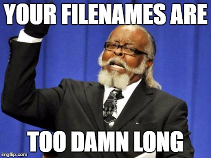 Too Damn High Meme | YOUR FILENAMES ARE; TOO DAMN LONG | image tagged in memes,too damn high | made w/ Imgflip meme maker