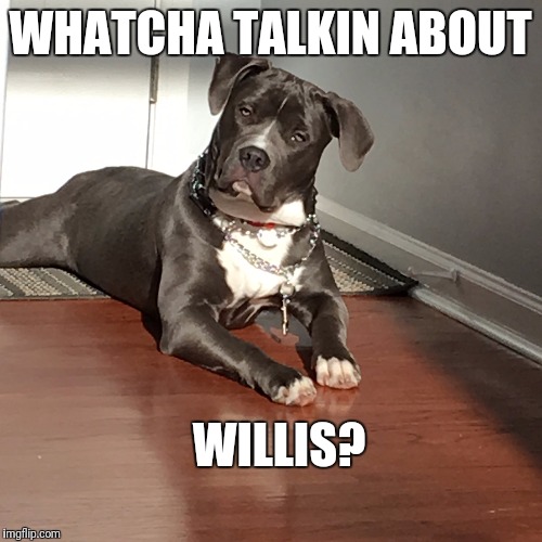 Majestic Beast..... | WHATCHA TALKIN ABOUT; WILLIS? | image tagged in funny | made w/ Imgflip meme maker