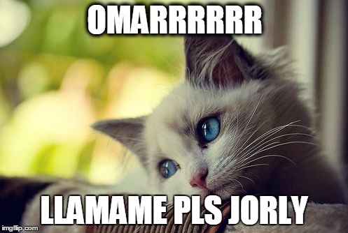 First World Problems Cat | OMARRRRRR; LLAMAME PLS JORLY | image tagged in memes,first world problems cat | made w/ Imgflip meme maker