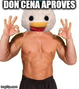 DON CENA APROVES | image tagged in don cena | made w/ Imgflip meme maker