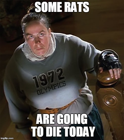 Trunchbull - Rats | SOME RATS; ARE GOING TO DIE TODAY | image tagged in trunchbull,matilda | made w/ Imgflip meme maker