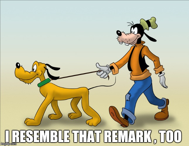 I RESEMBLE THAT REMARK , TOO | image tagged in goofy and pluto | made w/ Imgflip meme maker