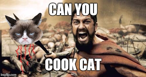 CAN YOU COOK CAT | made w/ Imgflip meme maker