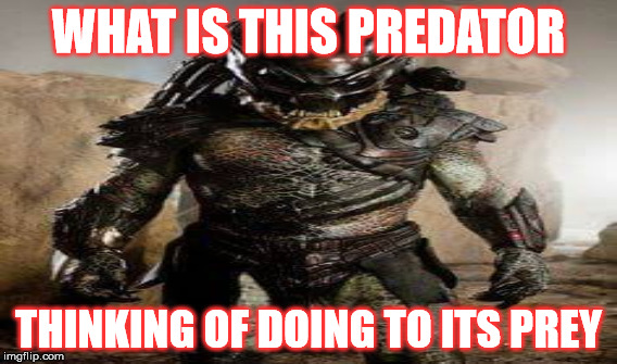 Predator Meme | WHAT IS THIS PREDATOR; THINKING OF DOING TO ITS PREY | image tagged in predator-alien-guy | made w/ Imgflip meme maker