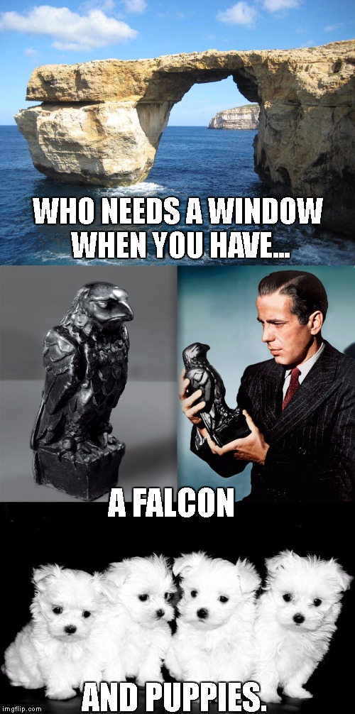 Azure Window | WHO NEEDS A WINDOW WHEN YOU HAVE... A FALCON; AND PUPPIES. | image tagged in the maltese falcon,azure window,maltese | made w/ Imgflip meme maker