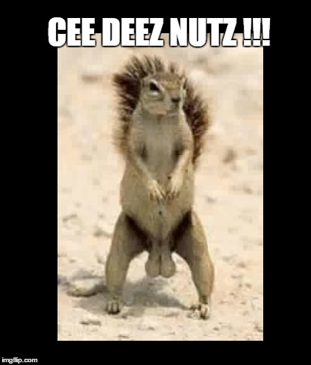 These buns are a little seedy.
Seedy?     CEE DEEZ NUTZ | CEE DEEZ NUTZ !!! | image tagged in deez nuts | made w/ Imgflip meme maker