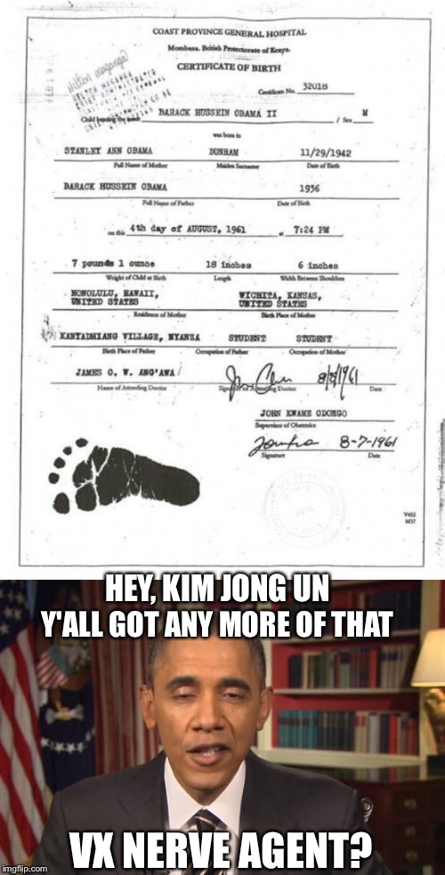 That face you make when your half brother exposes proof you were born in Kenya | HEY, KIM JONG UN; Y'ALL GOT ANY MORE OF THAT; VX NERVE AGENT? | image tagged in birth certificate | made w/ Imgflip meme maker