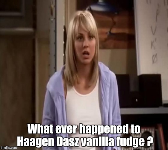 Confused Penny | What ever happened to Haagen Dasz vanilla fudge ? | image tagged in confused penny | made w/ Imgflip meme maker