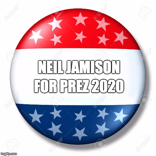 Blank for president | FOR PREZ 2020; NEIL JAMISON | image tagged in blank for president | made w/ Imgflip meme maker