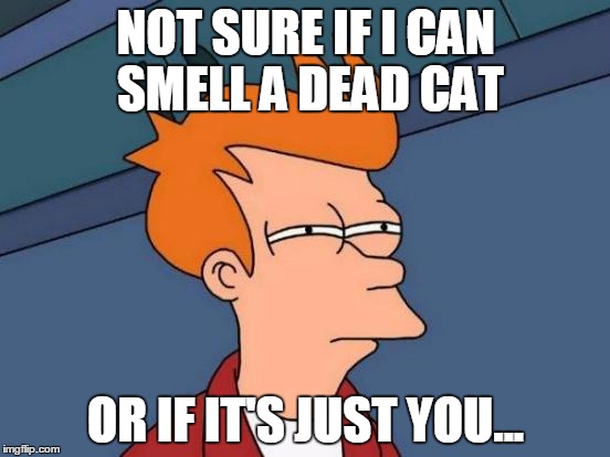 Futurama Fry | NOT SURE IF I CAN SMELL A DEAD CAT; OR IF IT'S JUST YOU... | image tagged in memes,futurama fry | made w/ Imgflip meme maker