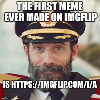 Makes sense... | THE FIRST MEME EVER MADE ON IMGFLIP; IS HTTPS://IMGFLIP.COM/I/A | image tagged in captain obvious 2,memes | made w/ Imgflip meme maker