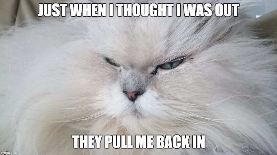 Kitty Corleone | JUST WHEN I THOUGHT I WAS OUT; THEY PULL ME BACK IN | image tagged in angry cat | made w/ Imgflip meme maker