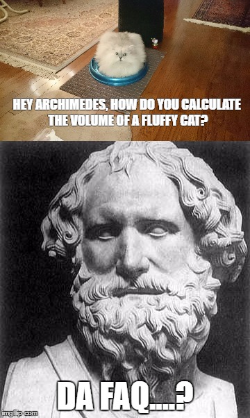 Volume of cat | HEY ARCHIMEDES, HOW DO YOU CALCULATE THE VOLUME OF A FLUFFY CAT? DA FAQ....? | image tagged in cats | made w/ Imgflip meme maker