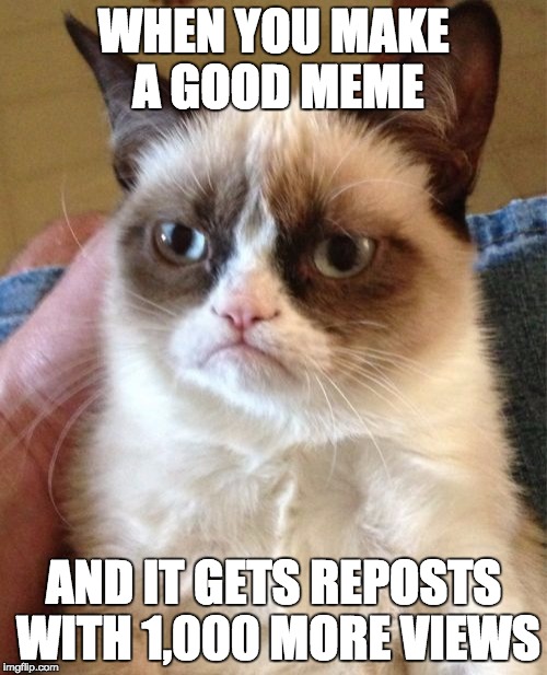 Grumpy Cat | WHEN YOU MAKE A GOOD MEME; AND IT GETS REPOSTS WITH 1,000 MORE VIEWS | image tagged in memes,grumpy cat | made w/ Imgflip meme maker