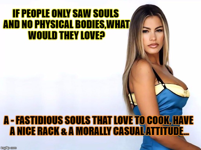 Sofia Vergara's Soul |  IF PEOPLE ONLY SAW SOULS AND NO PHYSICAL BODIES,WHAT WOULD THEY LOVE? A - FASTIDIOUS SOULS THAT LOVE TO COOK, HAVE A NICE RACK & A MORALLY CASUAL ATTITUDE... | image tagged in sofia vergara's soul | made w/ Imgflip meme maker