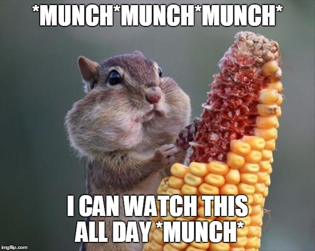 *MUNCH*MUNCH*MUNCH* I CAN WATCH THIS ALL DAY *MUNCH* | made w/ Imgflip meme maker