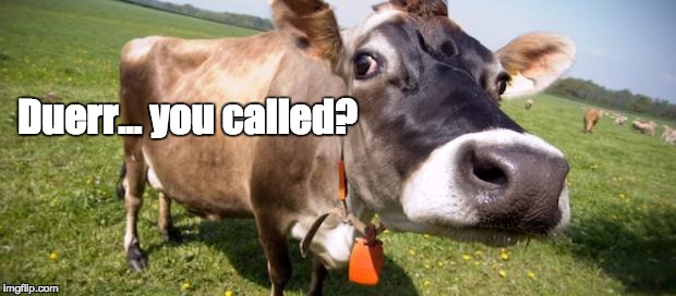 Cowbell | Duerr... you called? | image tagged in cowbell | made w/ Imgflip meme maker