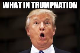 Classic | WHAT IN TRUMPNATION | image tagged in memes,politics,donald trump,funny | made w/ Imgflip meme maker