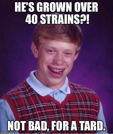 Bad Luck Brian Meme | HE'S GROWN OVER 40 STRAINS?! NOT BAD, FOR A TARD. | image tagged in memes,bad luck brian | made w/ Imgflip meme maker