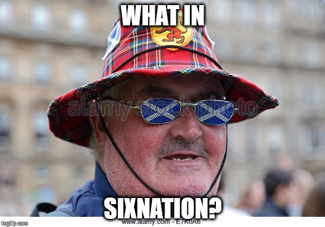 WHAT IN; SIXNATION? | image tagged in what in six nations | made w/ Imgflip meme maker