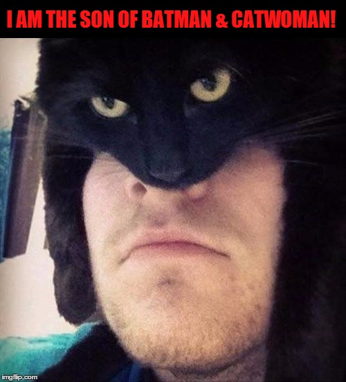 High Quality CATMAN Blank Meme Template