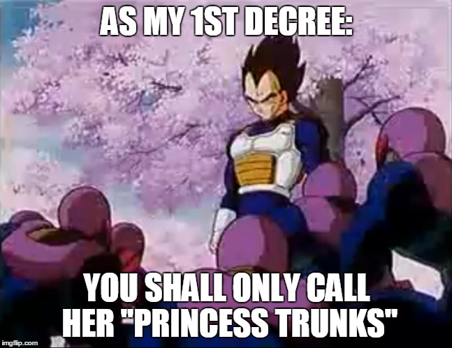 Princess Trunks Decree | AS MY 1ST DECREE:; YOU SHALL ONLY CALL HER "PRINCESS TRUNKS" | image tagged in dragonballz,vegeta,future trunks,princess trunks | made w/ Imgflip meme maker