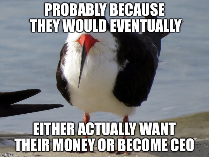 Even Less Popular Opinion Bird | PROBABLY BECAUSE THEY WOULD EVENTUALLY EITHER ACTUALLY WANT THEIR MONEY OR BECOME CEO | image tagged in even less popular opinion bird | made w/ Imgflip meme maker