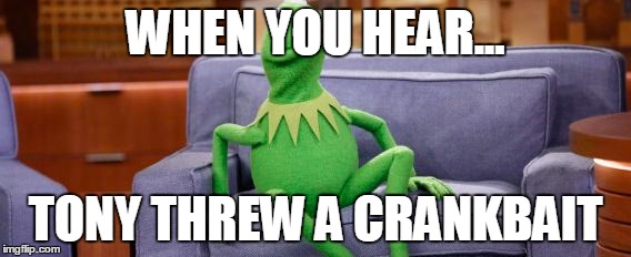 kermit couch | WHEN YOU HEAR... TONY THREW A CRANKBAIT | image tagged in kermit couch | made w/ Imgflip meme maker