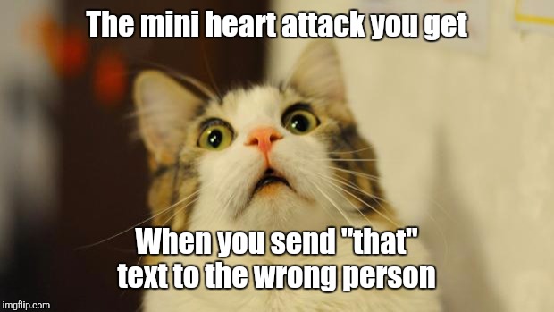 Oh sh!t | The mini heart attack you get; When you send "that" text to the wrong person | image tagged in cat surprised,memes,cats,texting | made w/ Imgflip meme maker