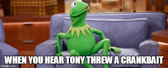 kermit couch | WHEN YOU HEAR TONY THREW A CRANKBAIT | image tagged in kermit couch | made w/ Imgflip meme maker