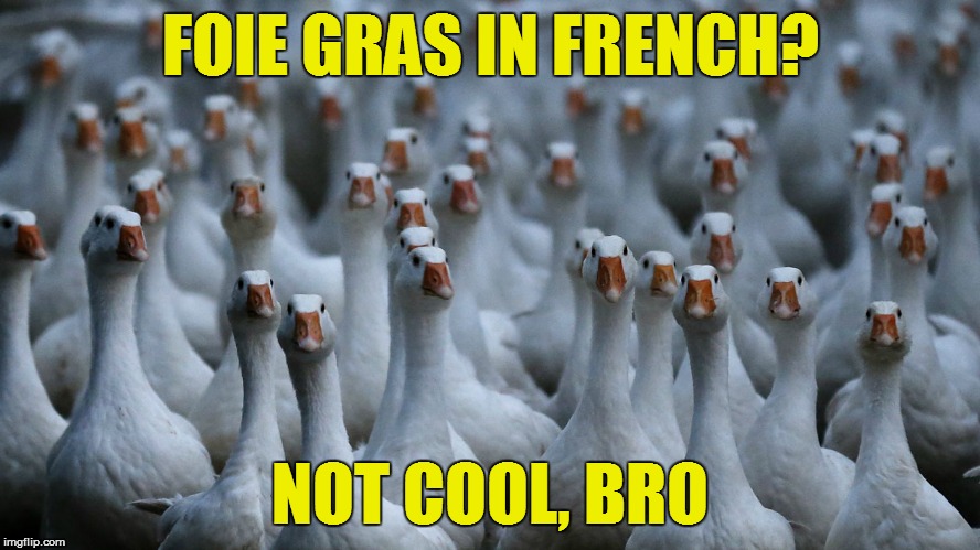 FOIE GRAS IN FRENCH? NOT COOL, BRO | made w/ Imgflip meme maker