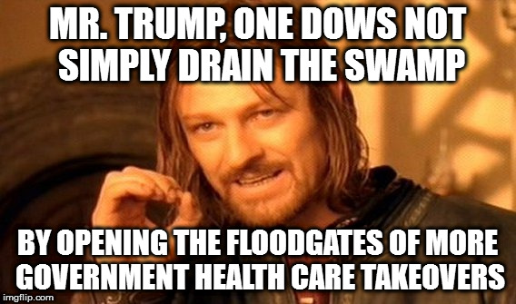 One Does Not Simply | MR. TRUMP, ONE DOWS NOT SIMPLY DRAIN THE SWAMP; BY OPENING THE FLOODGATES OF MORE GOVERNMENT HEALTH CARE TAKEOVERS | image tagged in memes,one does not simply | made w/ Imgflip meme maker