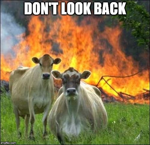 Evil Cows | DON'T LOOK BACK | image tagged in memes,evil cows | made w/ Imgflip meme maker