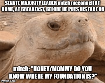tortoise faced mitch mcconnell | SENATE MAJORITY LEADER mitch mcconnell AT HOME, AT BREAKFAST, BEFORE HE PUTS HIS FACE ON; mitch: "HONEY/MOMMY DO YOU KNOW WHERE MY FOUNDATION IS?" | image tagged in tortoise,mitch mcconnell,scumbag republicans,gop hypocrite,gop crap,asshole | made w/ Imgflip meme maker