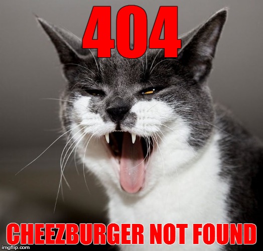 LOL Katz | 404; CHEEZBURGER NOT FOUND | image tagged in memes,lolcats,cheeseburger | made w/ Imgflip meme maker